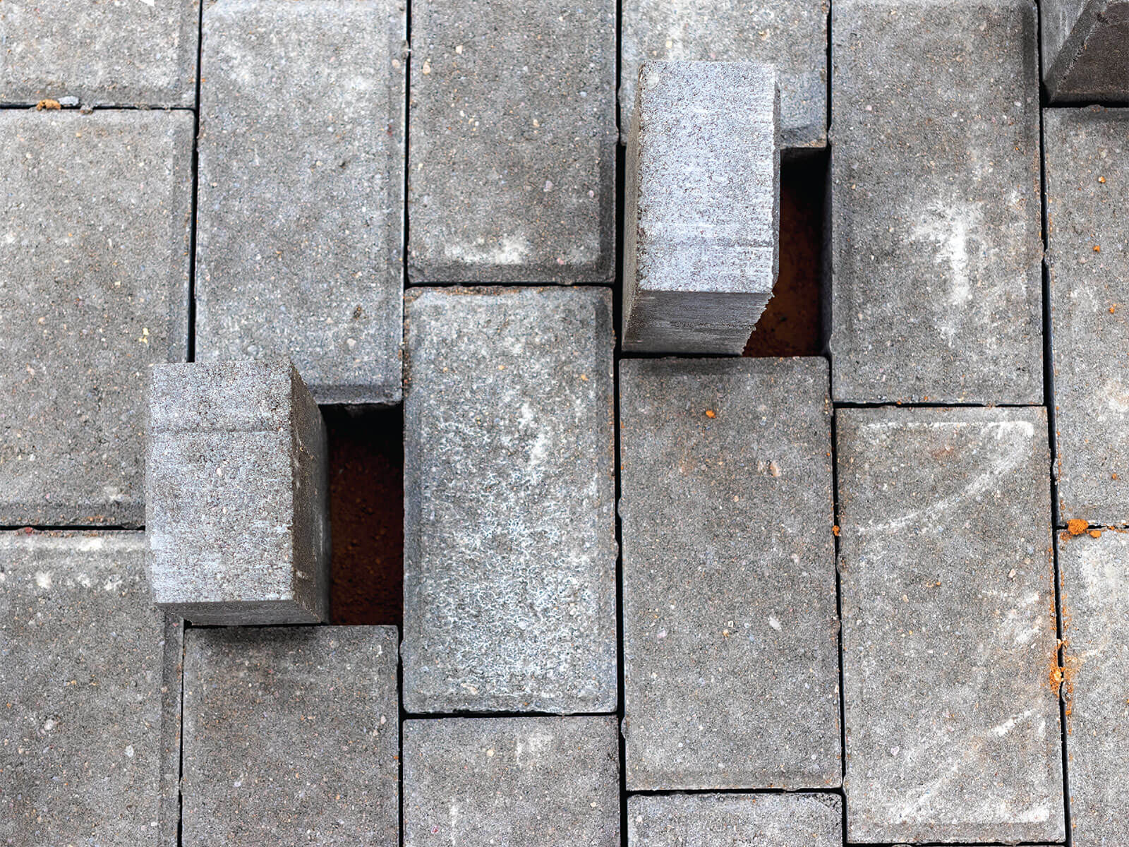 Project Image 5